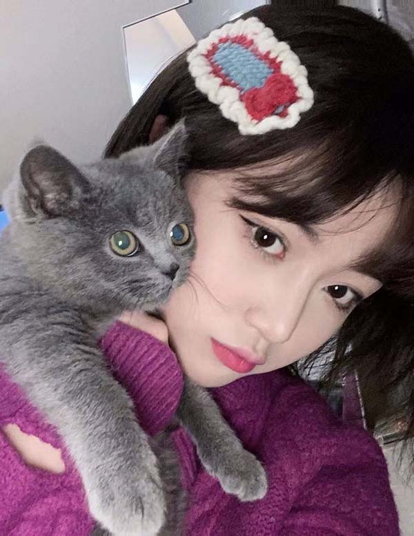 多伦多商务伴游招聘